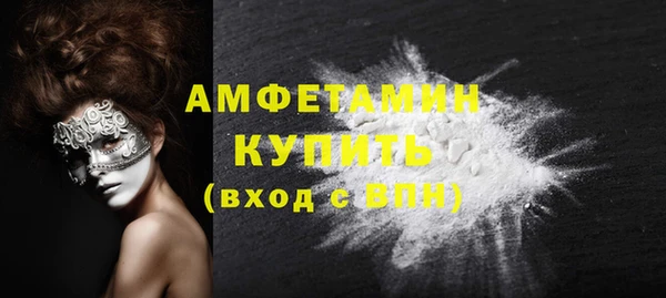 твердый Дмитровск
