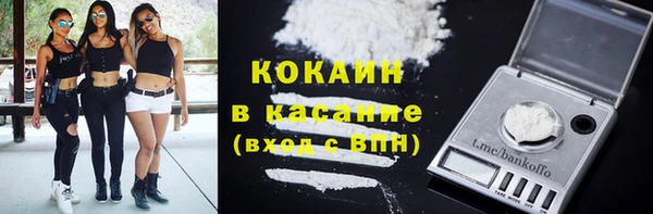 твердый Дмитровск