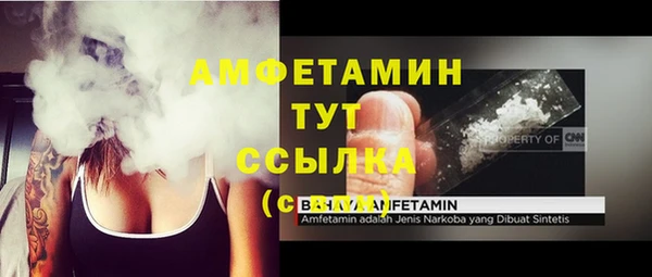 твердый Дмитровск