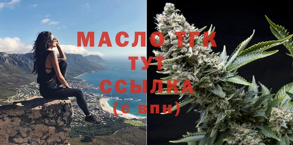 твердый Дмитровск