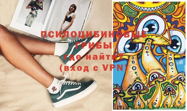 ГАЛЛЮЦИНОГЕННЫЕ ГРИБЫ Дмитров