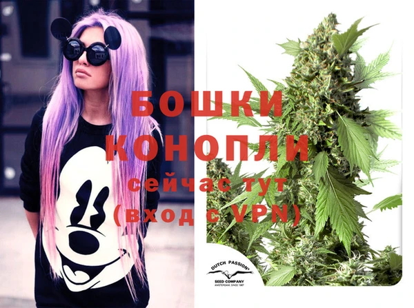 ГАЛЛЮЦИНОГЕННЫЕ ГРИБЫ Дмитров