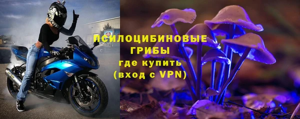 альфа пвп Елизово